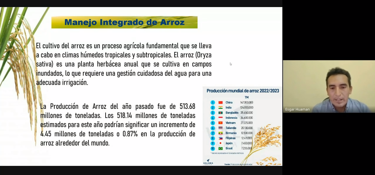 Manejo integrado de Arroz